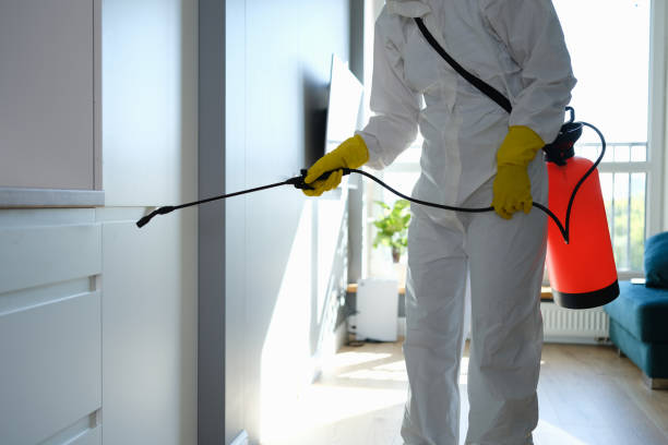 Best Kitchen Mold Remediation in West Liberty, KY