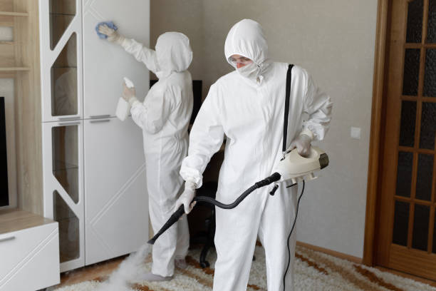 Best DIY Mold Remediation Support Services in West Liberty, KY
